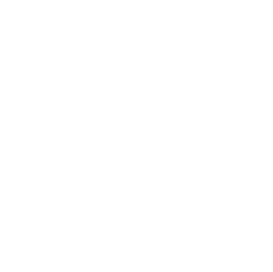 The Metropolitan Museum of Art logo